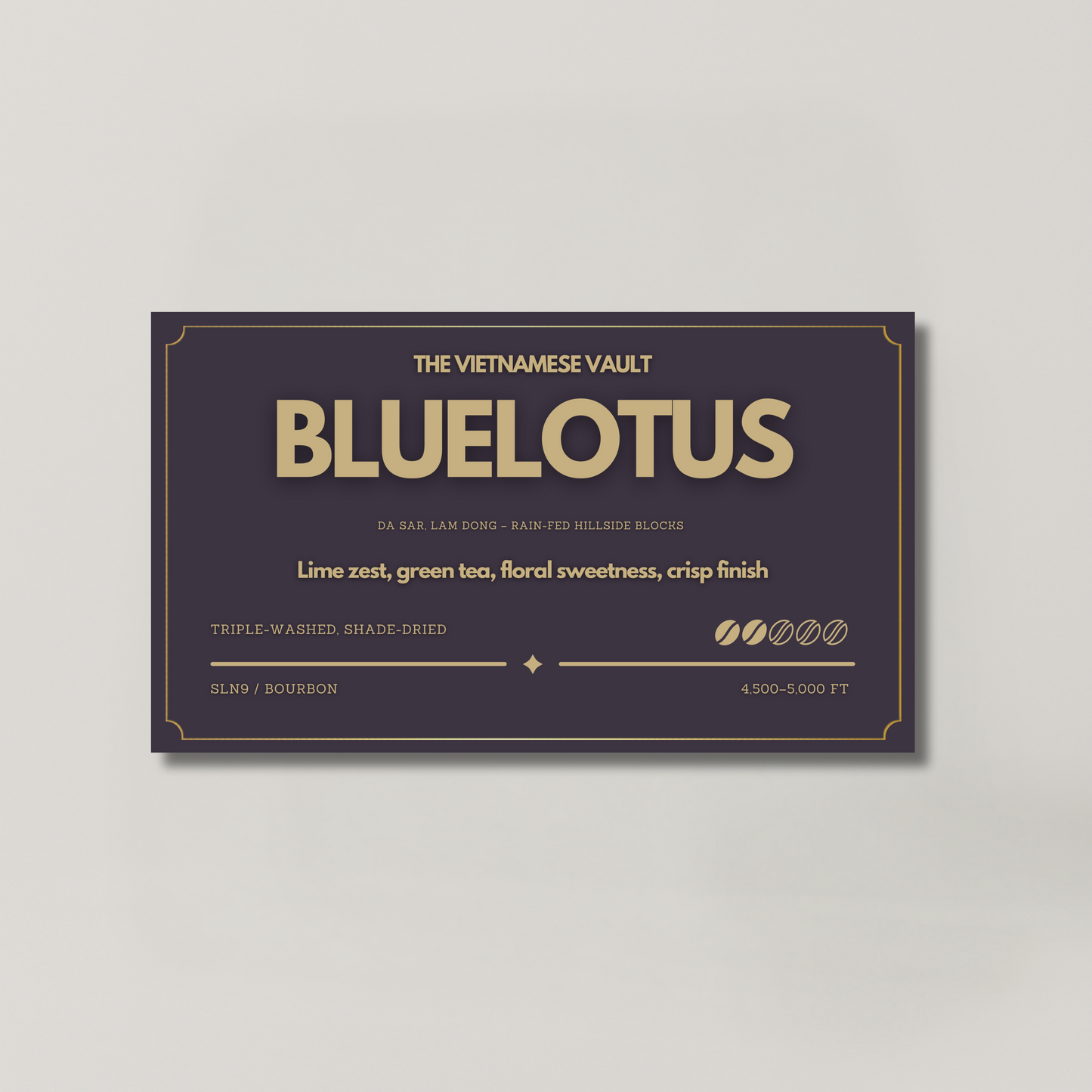 BLUELOTUS — Deep Washed Arabica