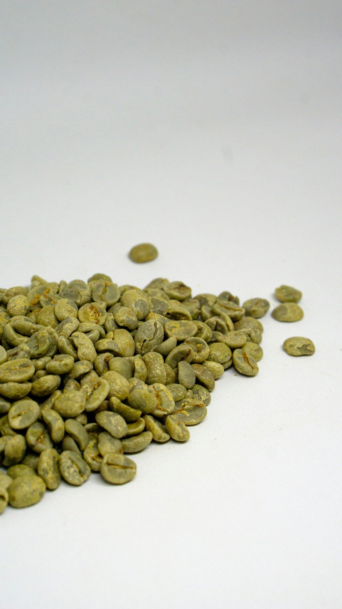 Pale swollen green coffee beans on a white surface
