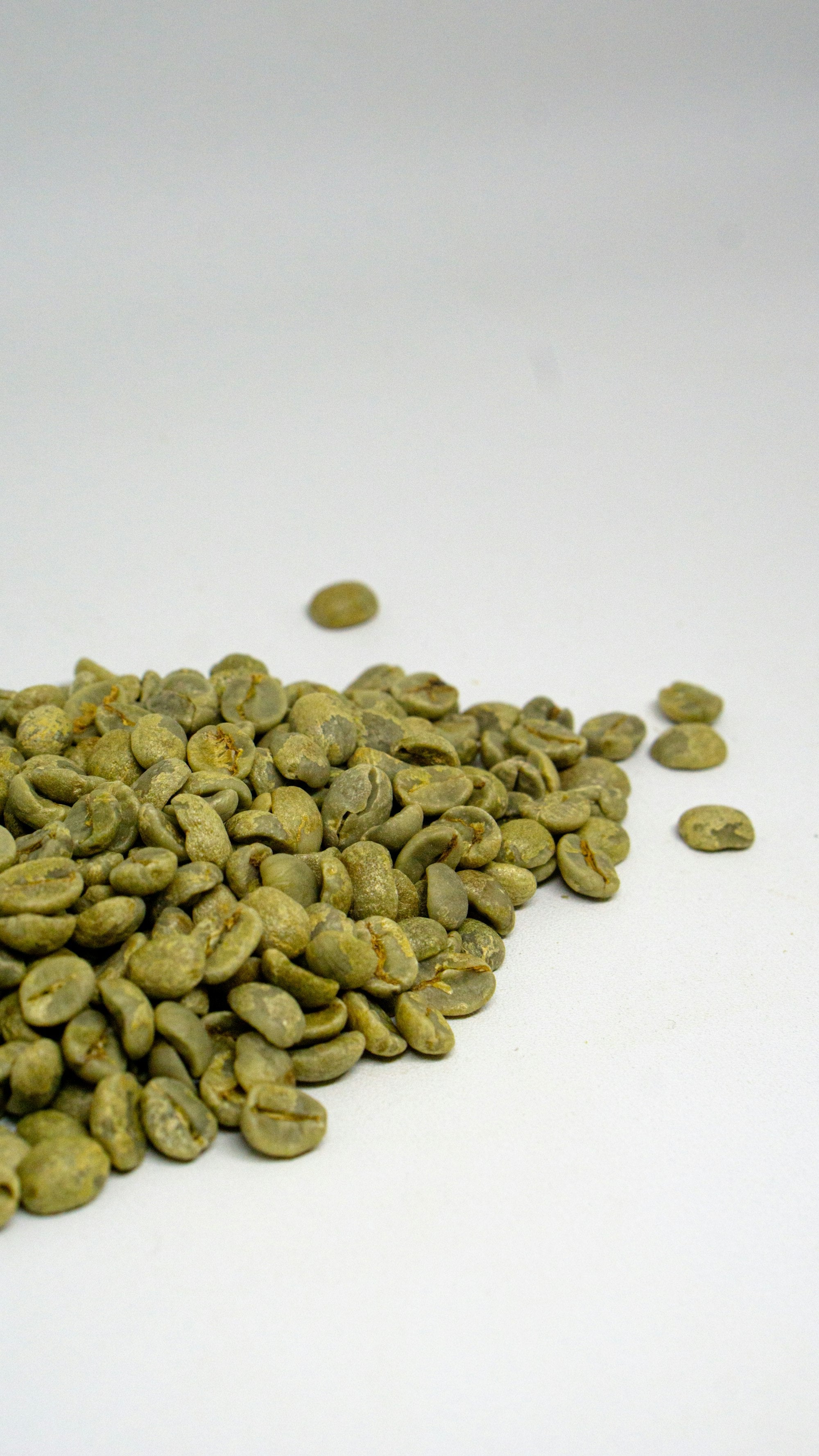 Pale swollen green coffee beans on a white surface