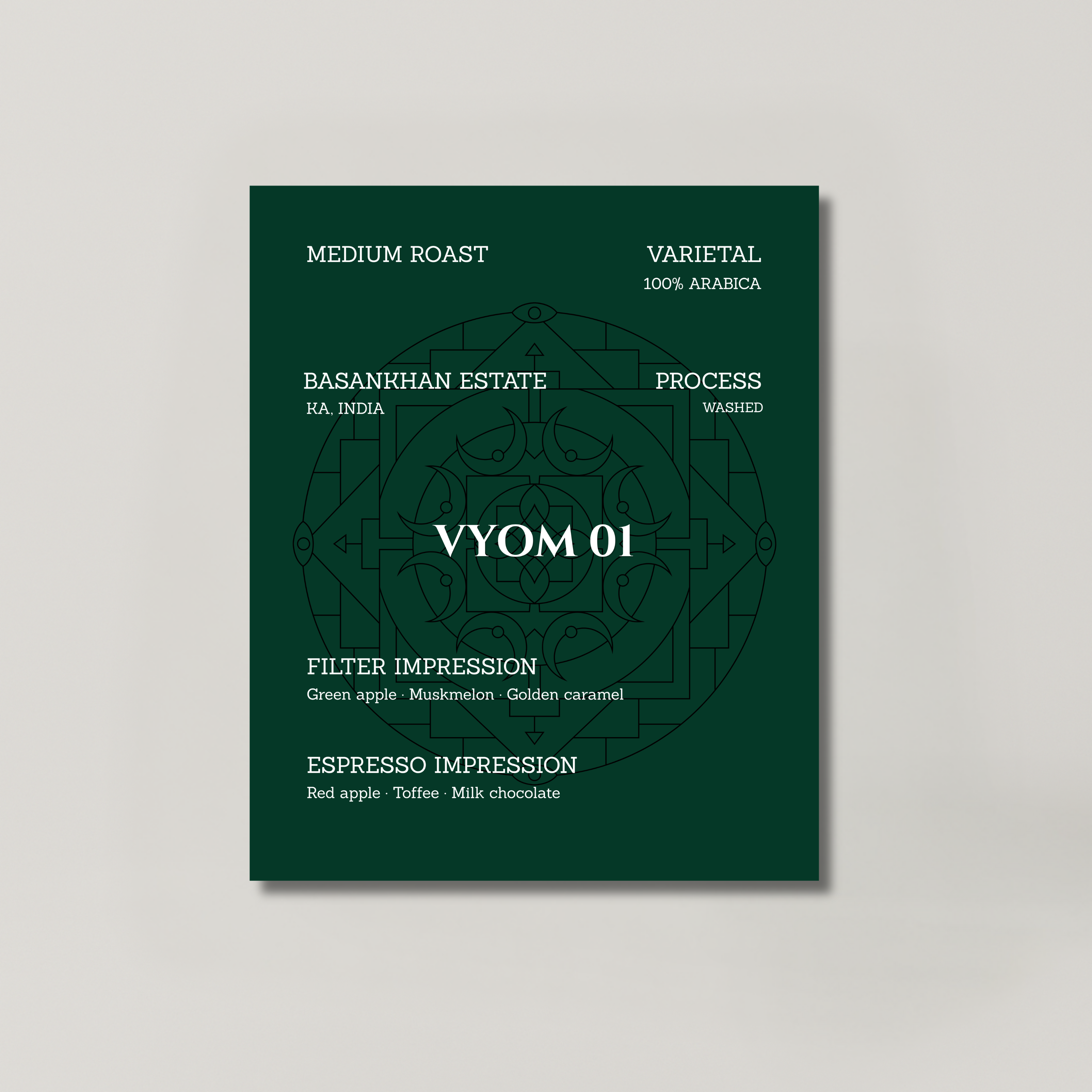 VYOM 01