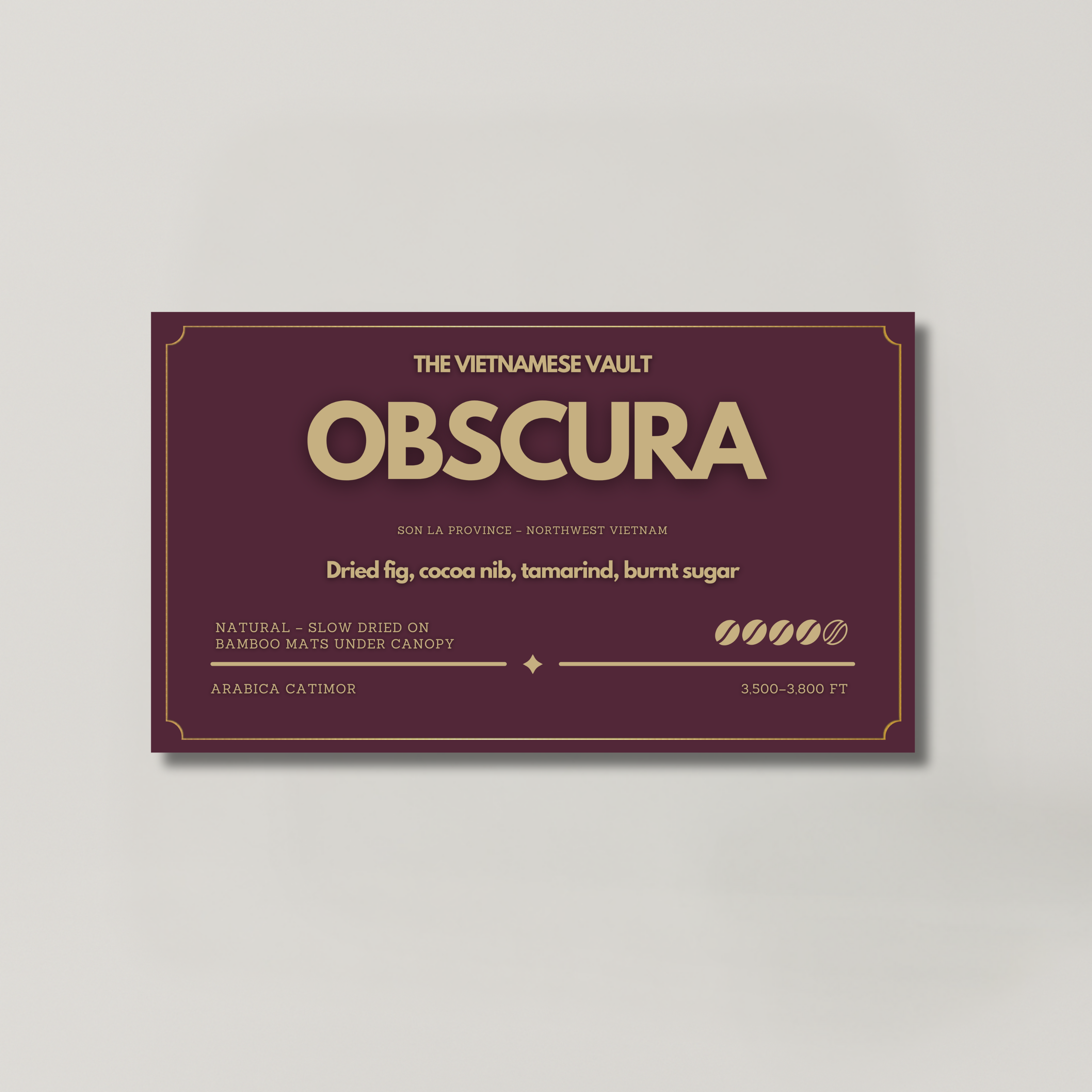 OBSCURA — Arabica Natural