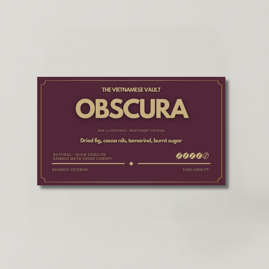 OBSCURA — Arabica Natural