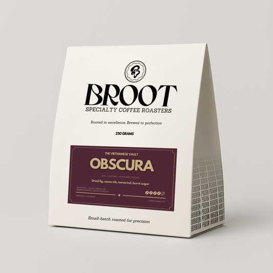 OBSCURA — Arabica Natural