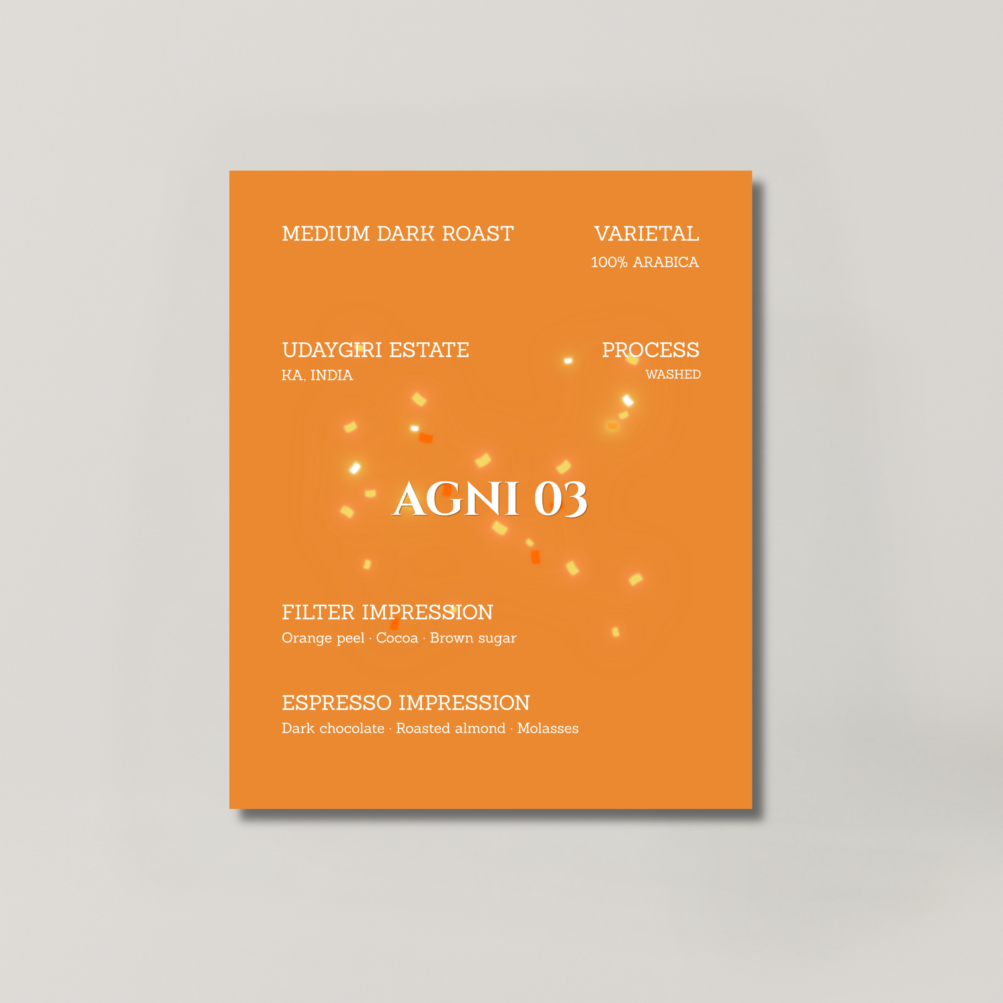 AGNI 03