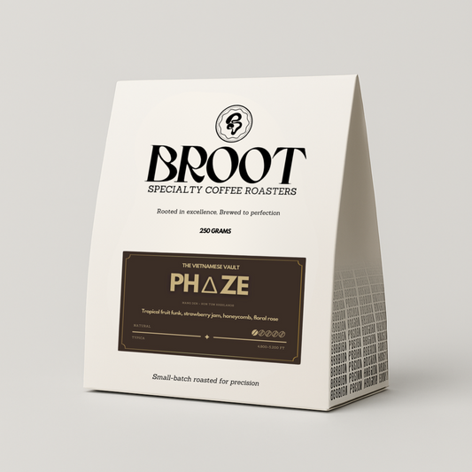 PH∆ZE — Typica Natural