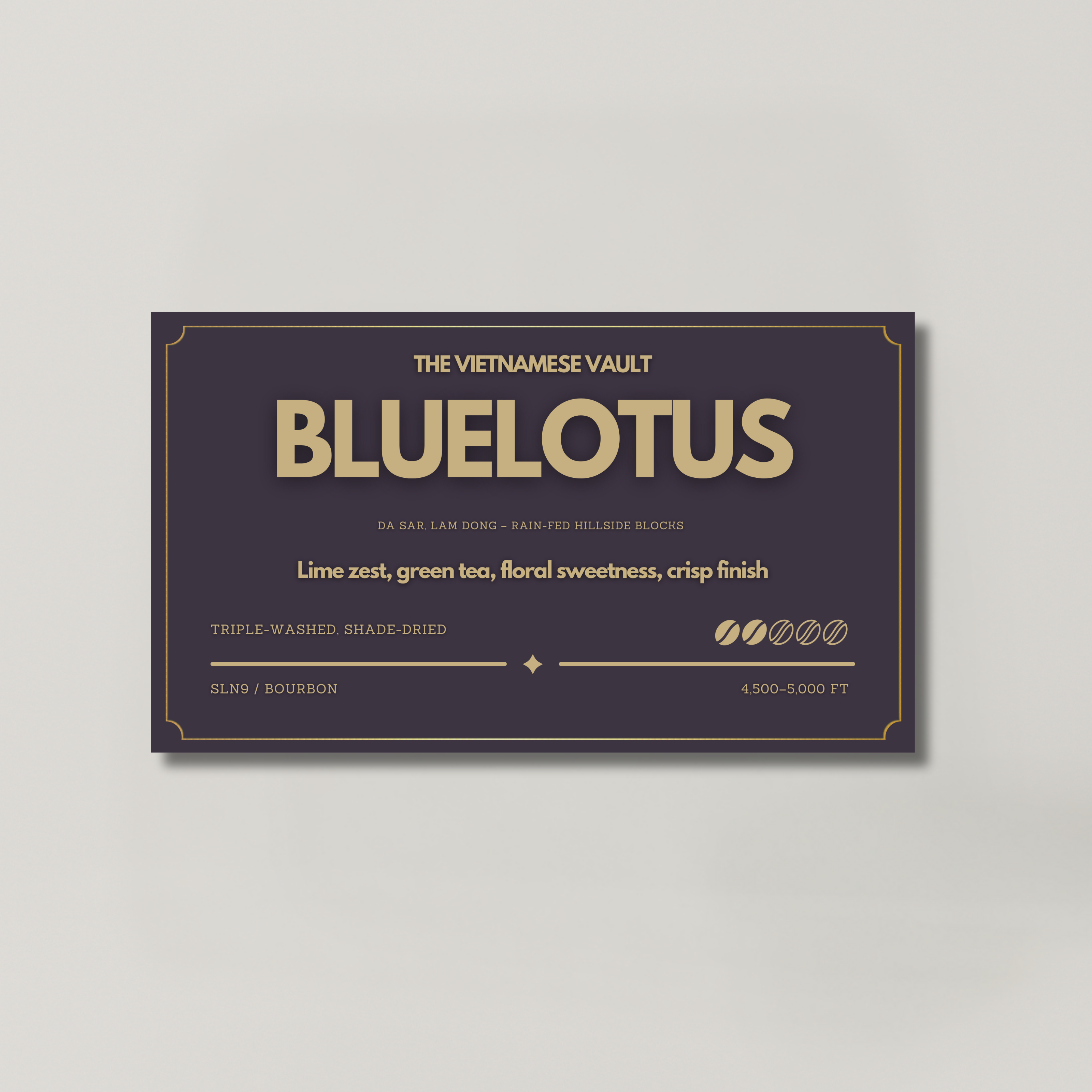 BLUELOTUS — Deep Washed Arabica