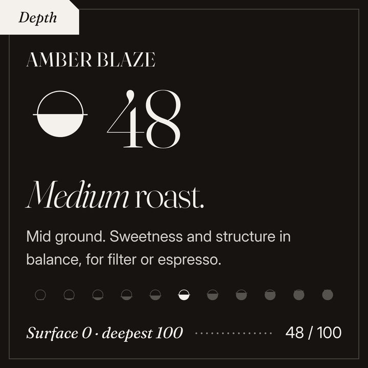 Amber Blaze roast depth 48 of 100, a medium roast. Mid ground. Sweetness and structure in balance, for filter or espresso.