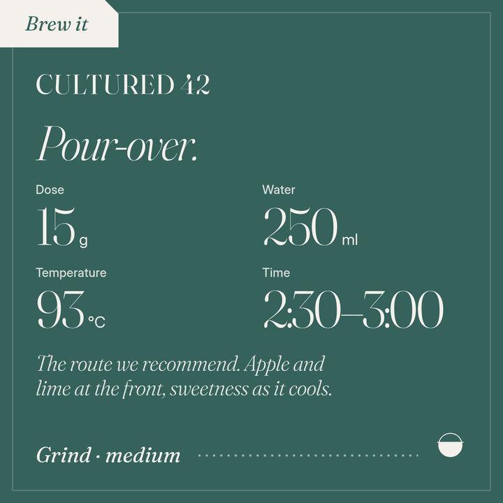 How to brew Cultured 42 as pour-over: 15 g, 250 ml, 93 °C, 2:30–3:00.