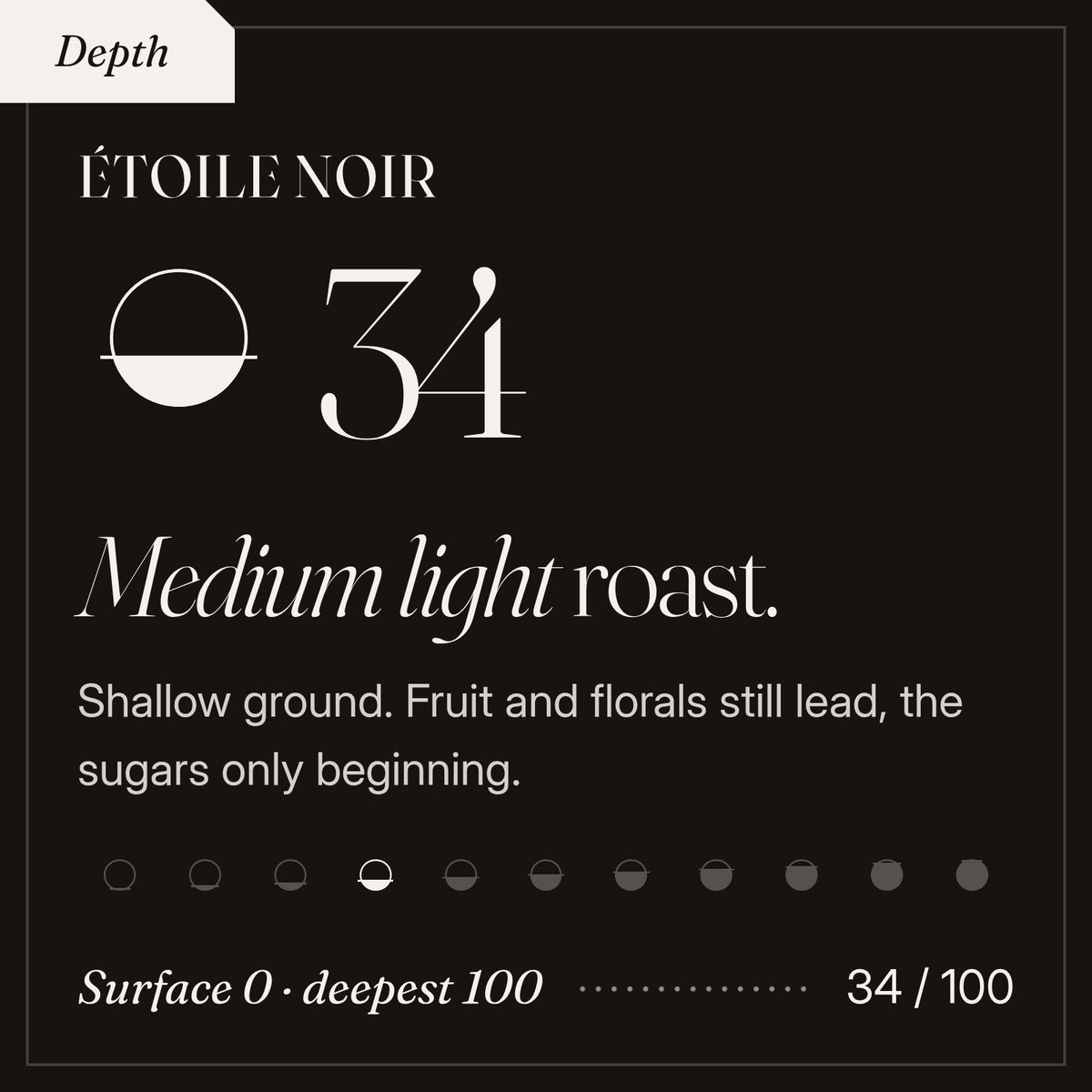 Étoile Noir roast depth 34 of 100, a medium light roast. Shallow ground. Fruit and florals still lead, the sugars only beginning.