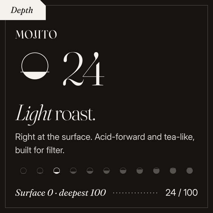 Mojito roast depth 24 of 100, a light roast. Right at the surface. Acid-forward and tea-like, built for filter.