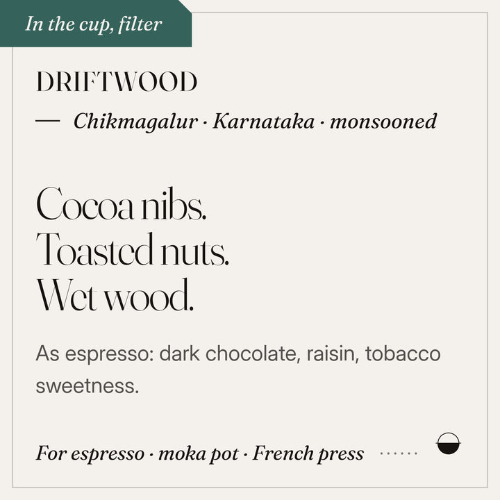 Driftwood in the cup: cocoa nibs, toasted nuts, wet wood. Chikmagalur · Karnataka · monsooned.