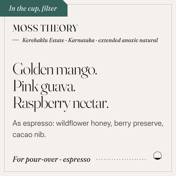 Moss Theory in the cup: golden mango, pink guava, raspberry nectar. Kerehaklu Estate · Karnataka · extended anoxic natural.