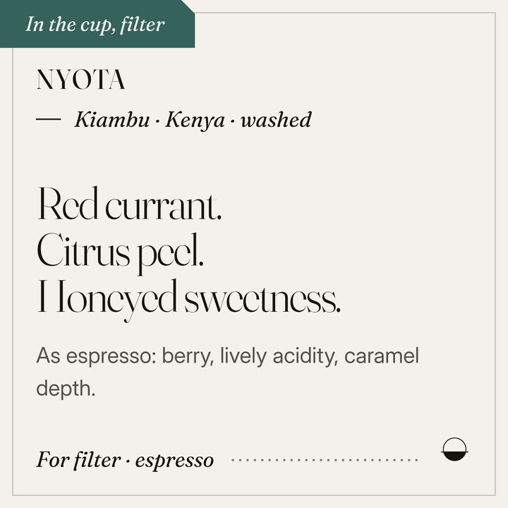 Nyota in the cup: red currant, citrus peel, honeyed sweetness. Kiambu · Kenya · washed.