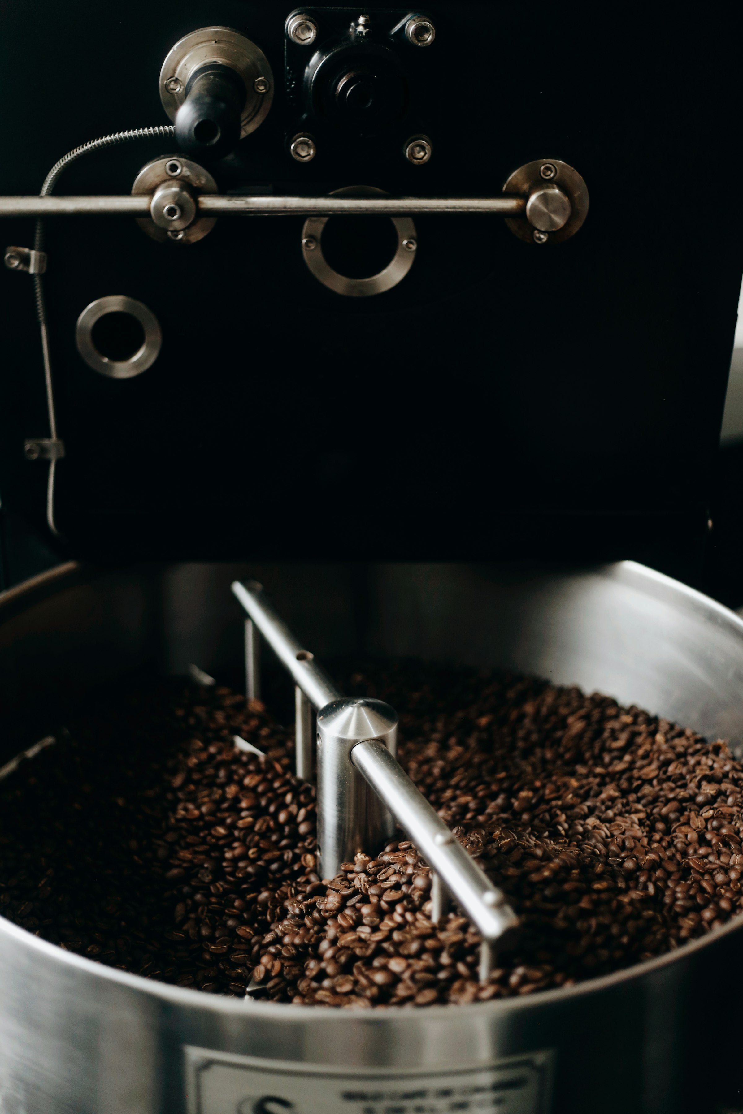Roasted coffee beans in the cooling tray of a drum roaster