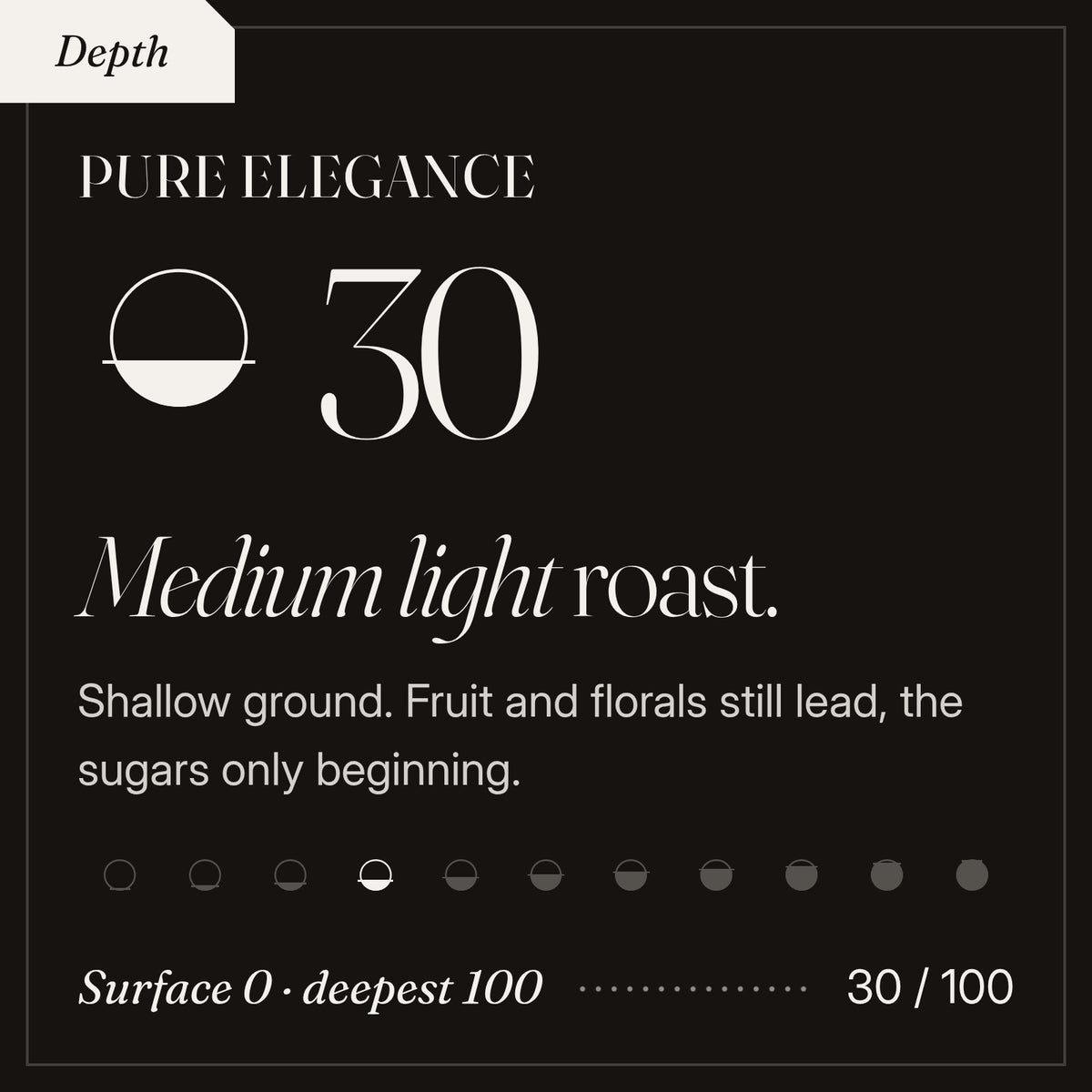 Pure Elegance roast depth 30 of 100, a medium light roast. Shallow ground. Fruit and florals still lead, the sugars only beginning.