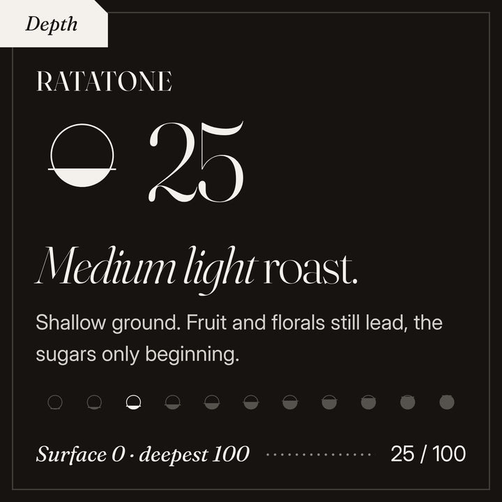 Ratatone roast depth 25 of 100, a medium light roast. Shallow ground. Fruit and florals still lead, the sugars only beginning.