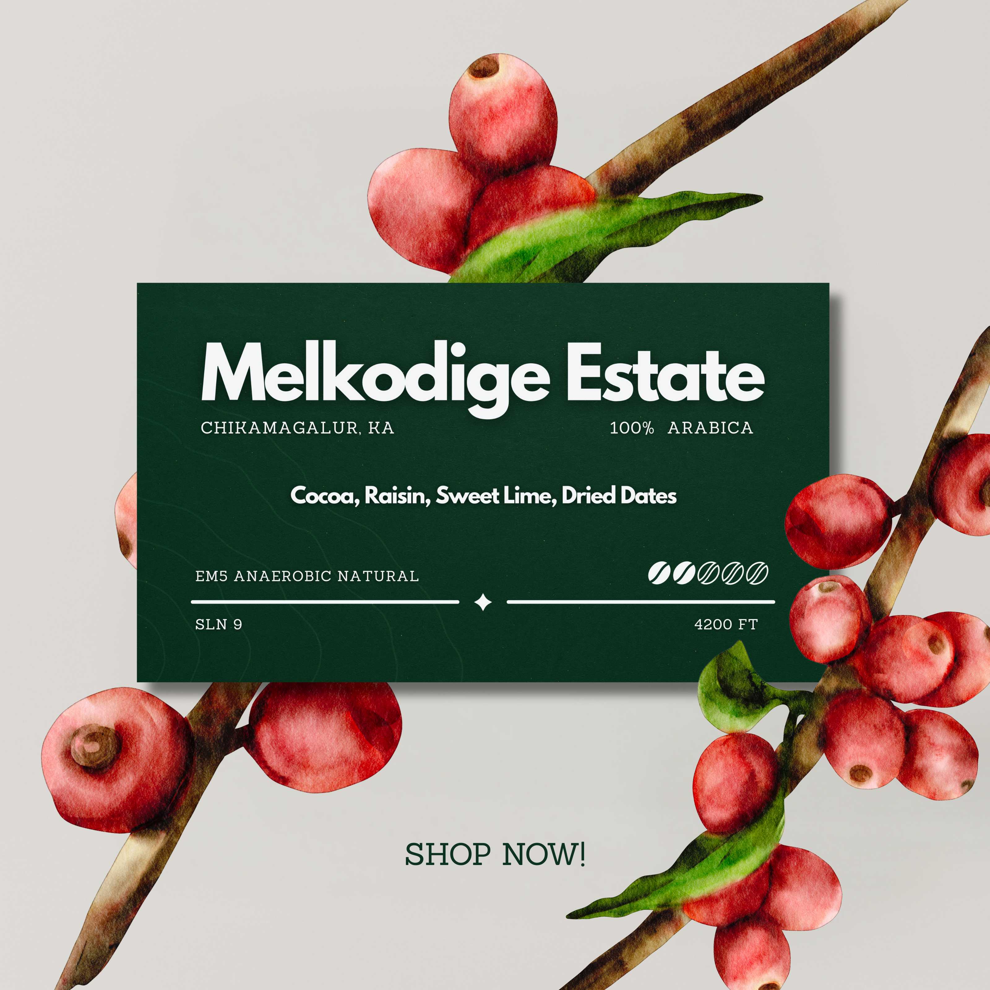 Melkodige EM5