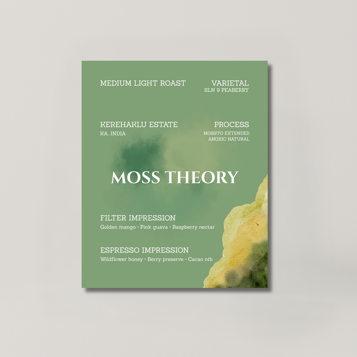 MOSS THEORY coffee bag from BROOT, an SLN 9 peaberry from Kerehaklu Estate, Karnataka