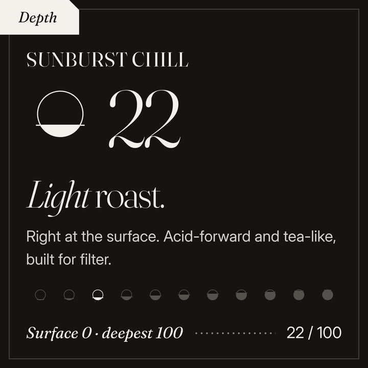Sunburst Chill roast depth 22 of 100, a light roast. Right at the surface. Acid-forward and tea-like, built for filter.