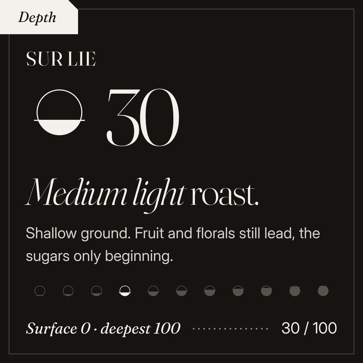 Sur Lie roast depth 30 of 100, a medium light roast. Shallow ground. Fruit and florals still lead, the sugars only beginning.