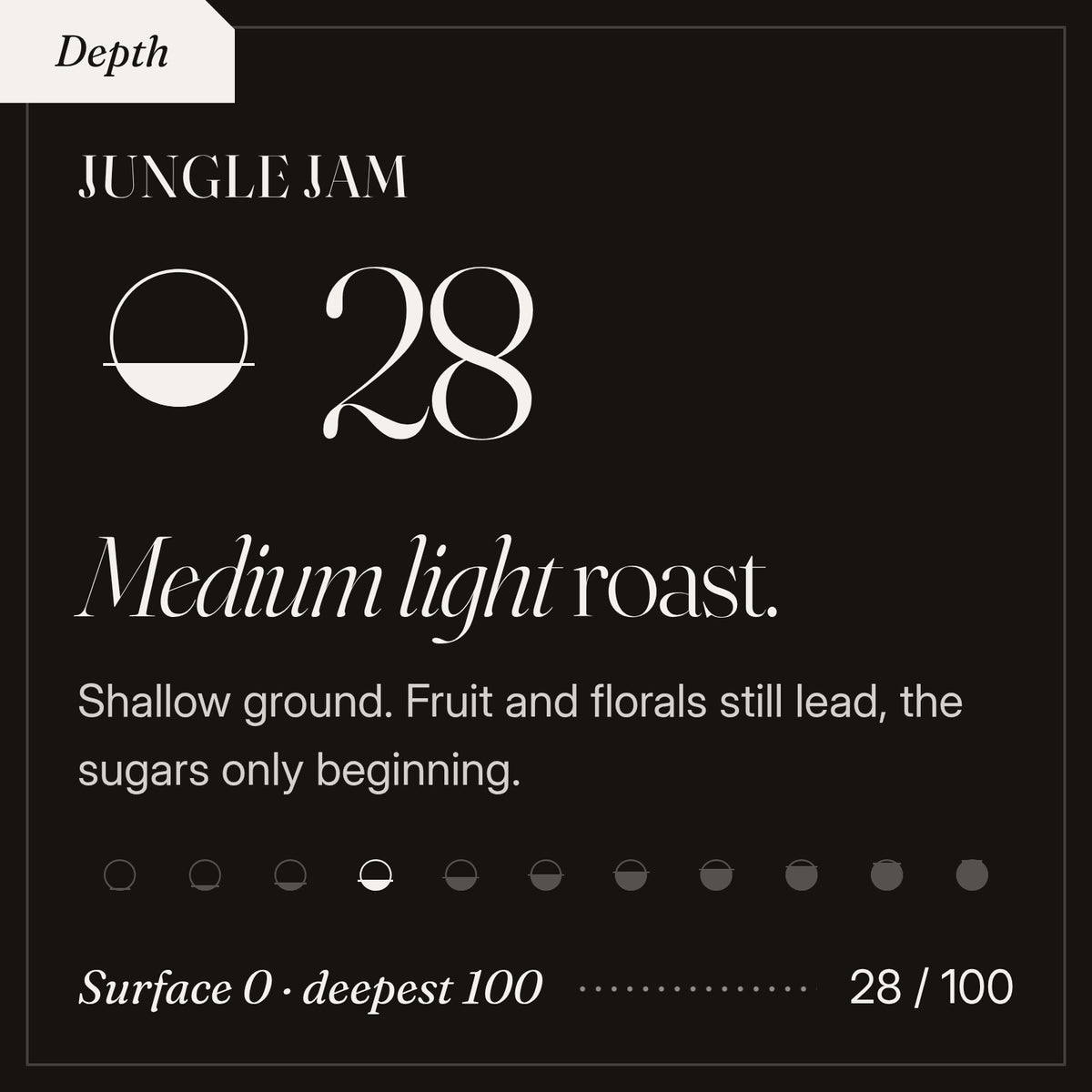 Jungle Jam roast depth 28 of 100, a medium light roast. Shallow ground. Fruit and florals still lead, the sugars only beginning.