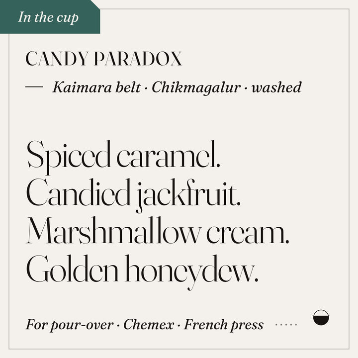 Candy Paradox in the cup: spiced caramel, candied jackfruit, marshmallow cream, golden honeydew. Kaimara belt · Chikmagalur · washed.