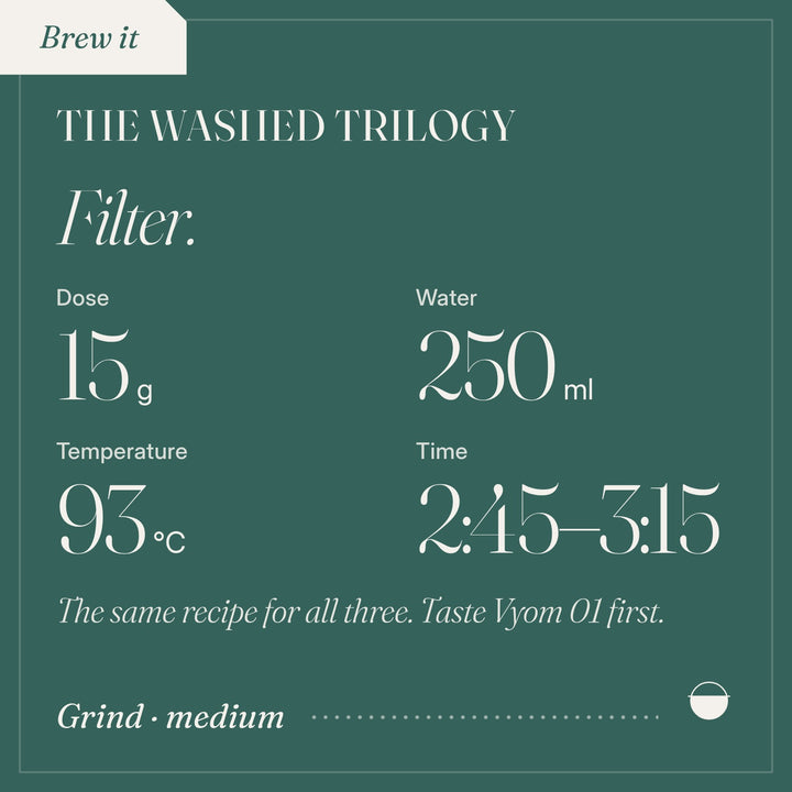 How to brew The Washed Trilogy as filter: 15 g, 250 ml, 93 °C, 2:45–3:15.