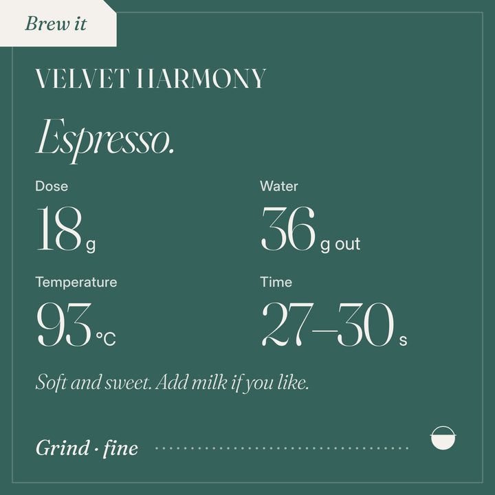 How to brew Velvet Harmony as espresso: 18 g, 36 g out, 93 °C, 27–30 s.